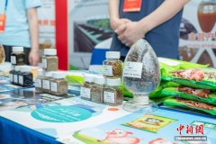 2026饲用食用昆虫国际研讨会举行 昆虫创